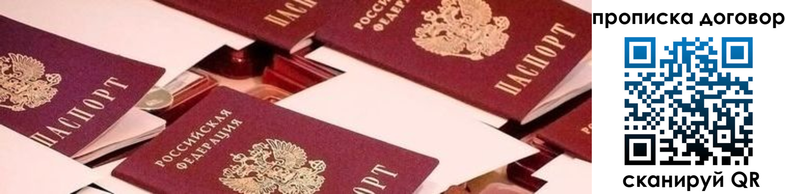 прописка для школы в Кузнецке